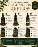 CHAGA - ZEPTRA